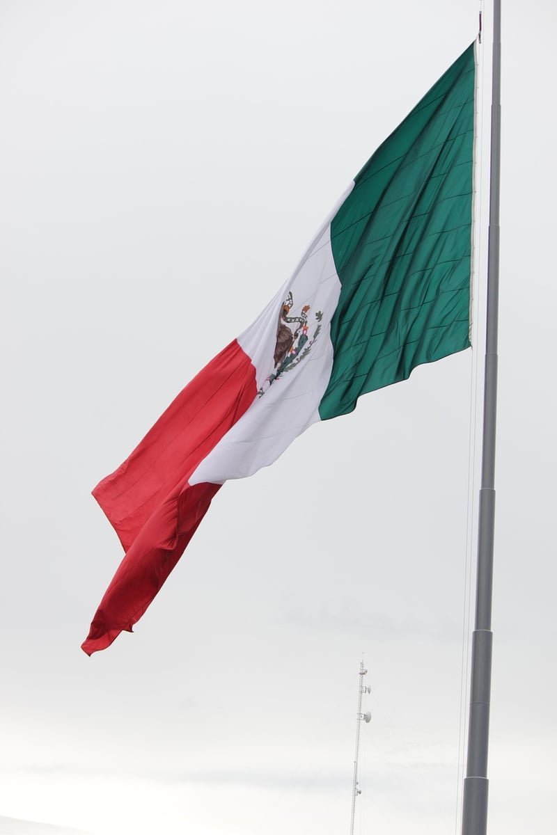Mexican Flag